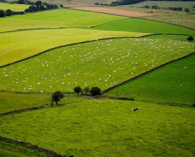 Advance funding starts in England to help struggling farms